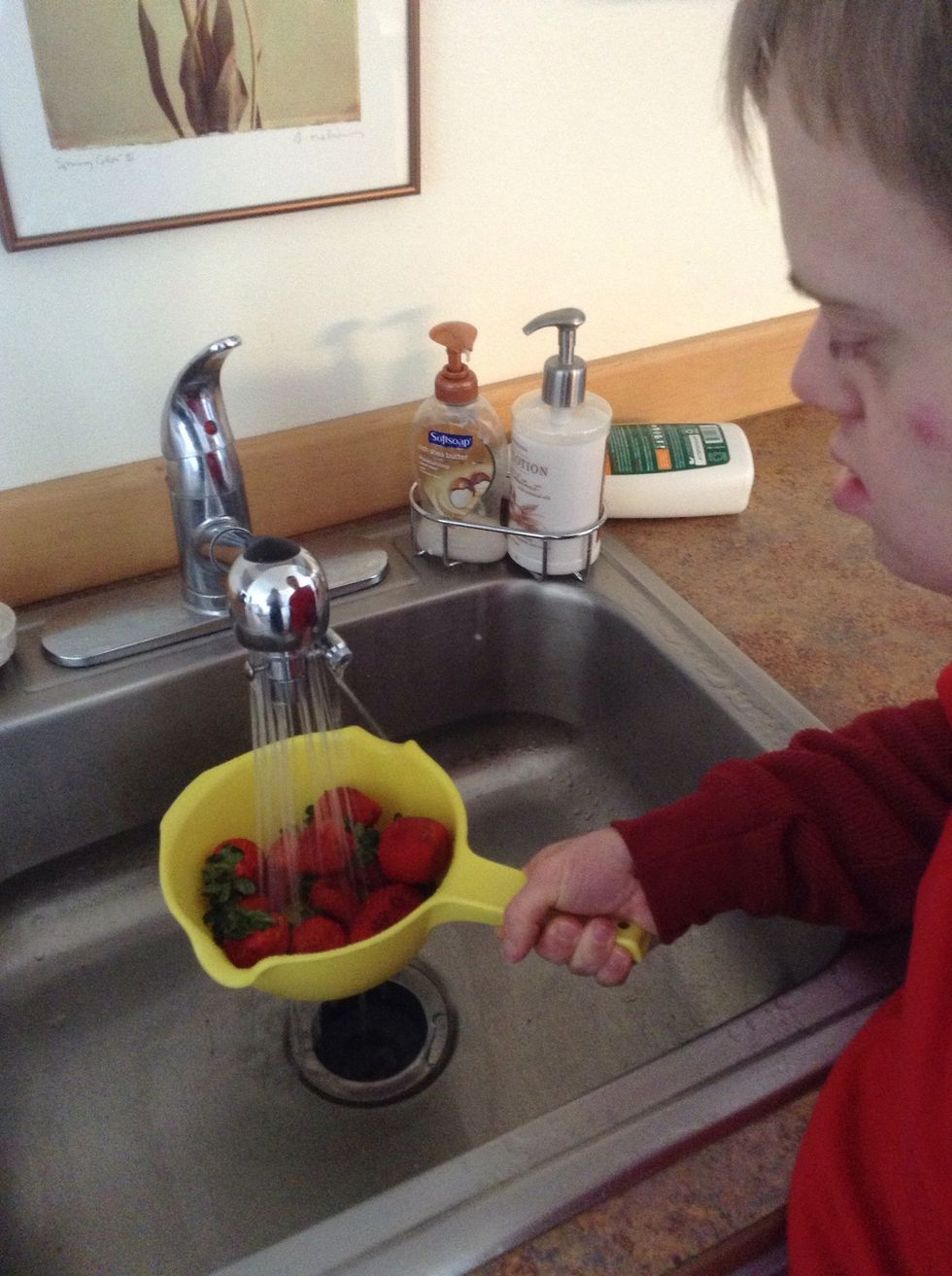Wash strawberries in sink
