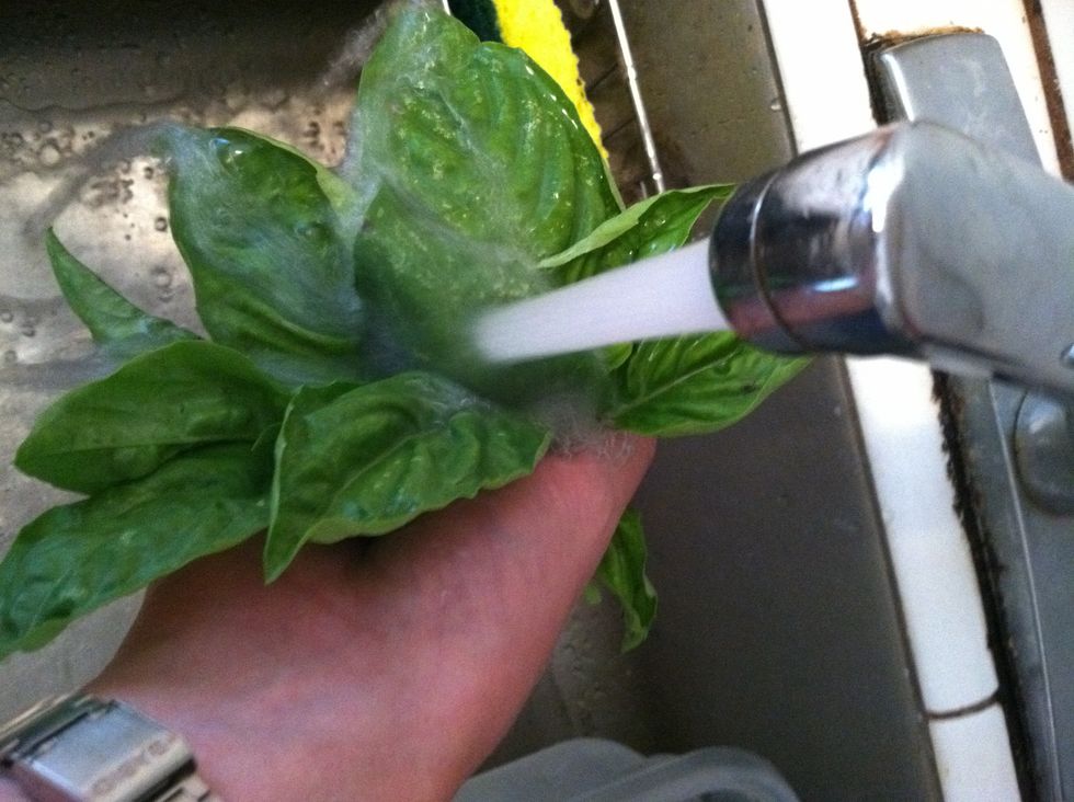 Wash the basil