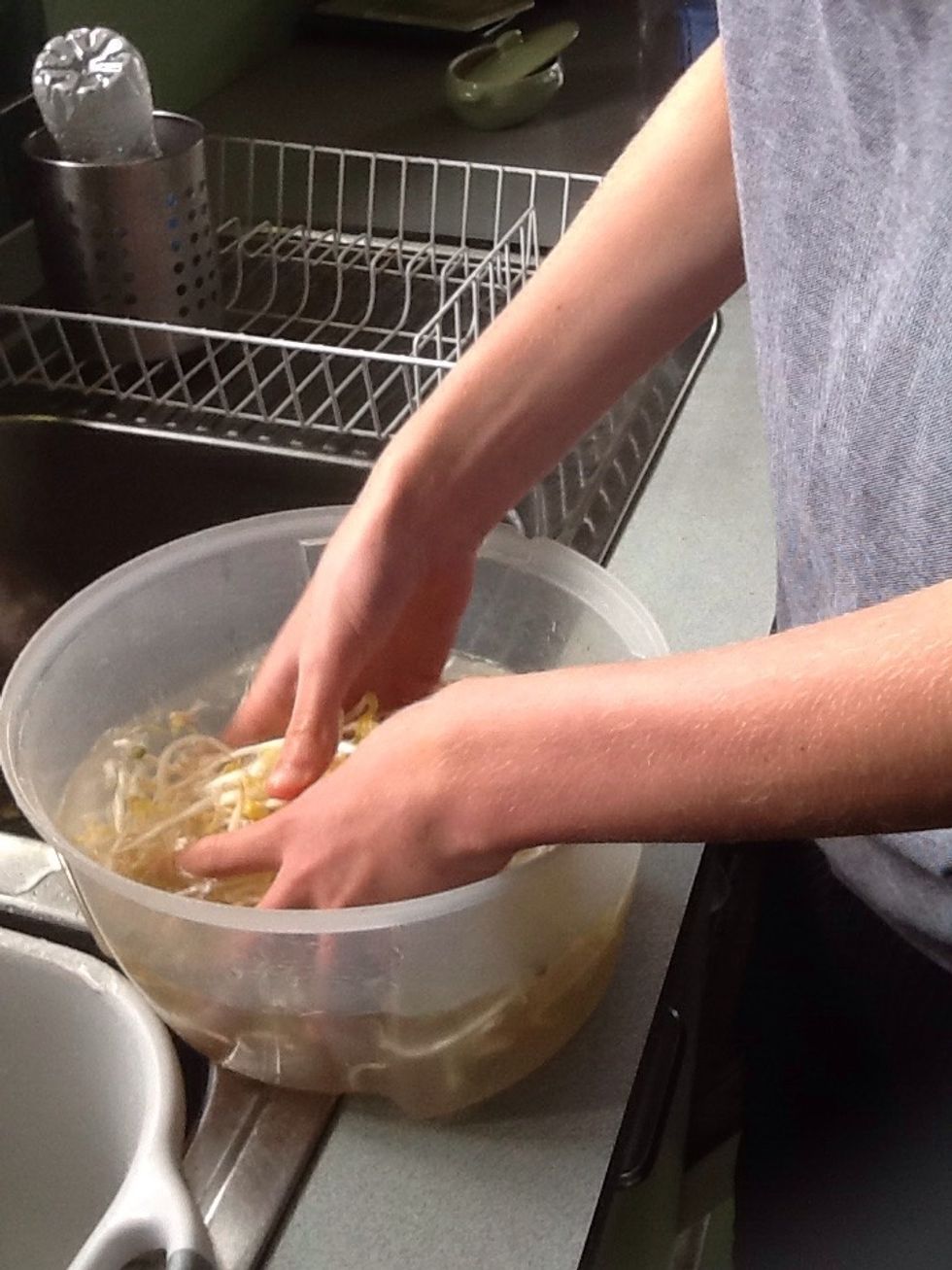 Wash the bean sprouts and all the other vegetables and herbs.