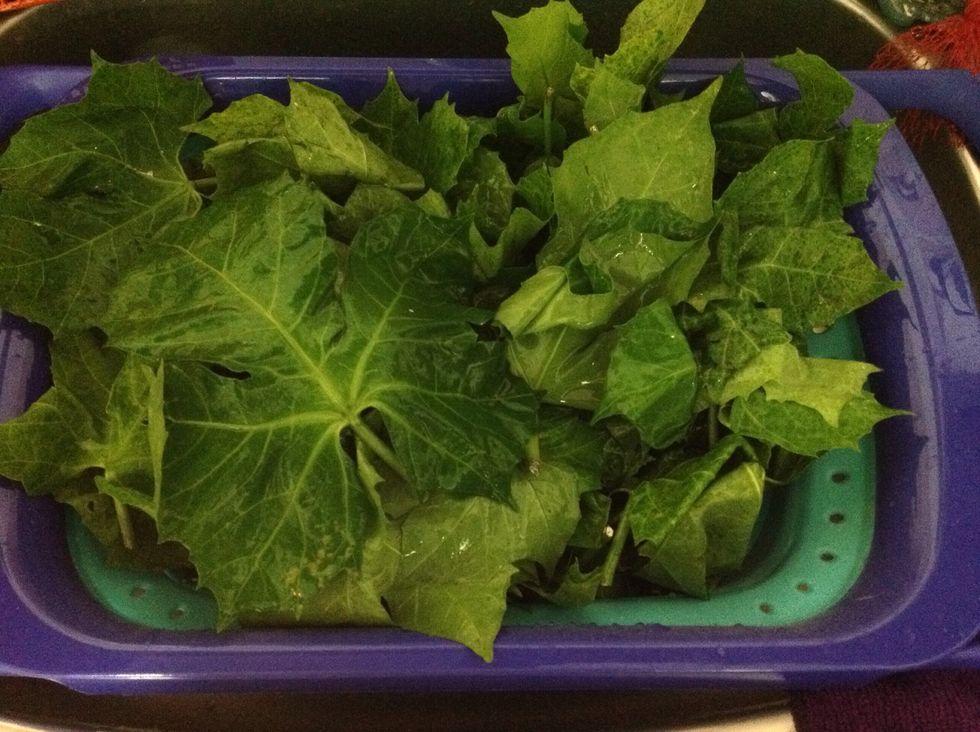 Wash the chaya leaves. You can also use kale. Chop to cook.