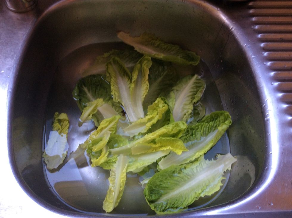 Wash the cos lettuce