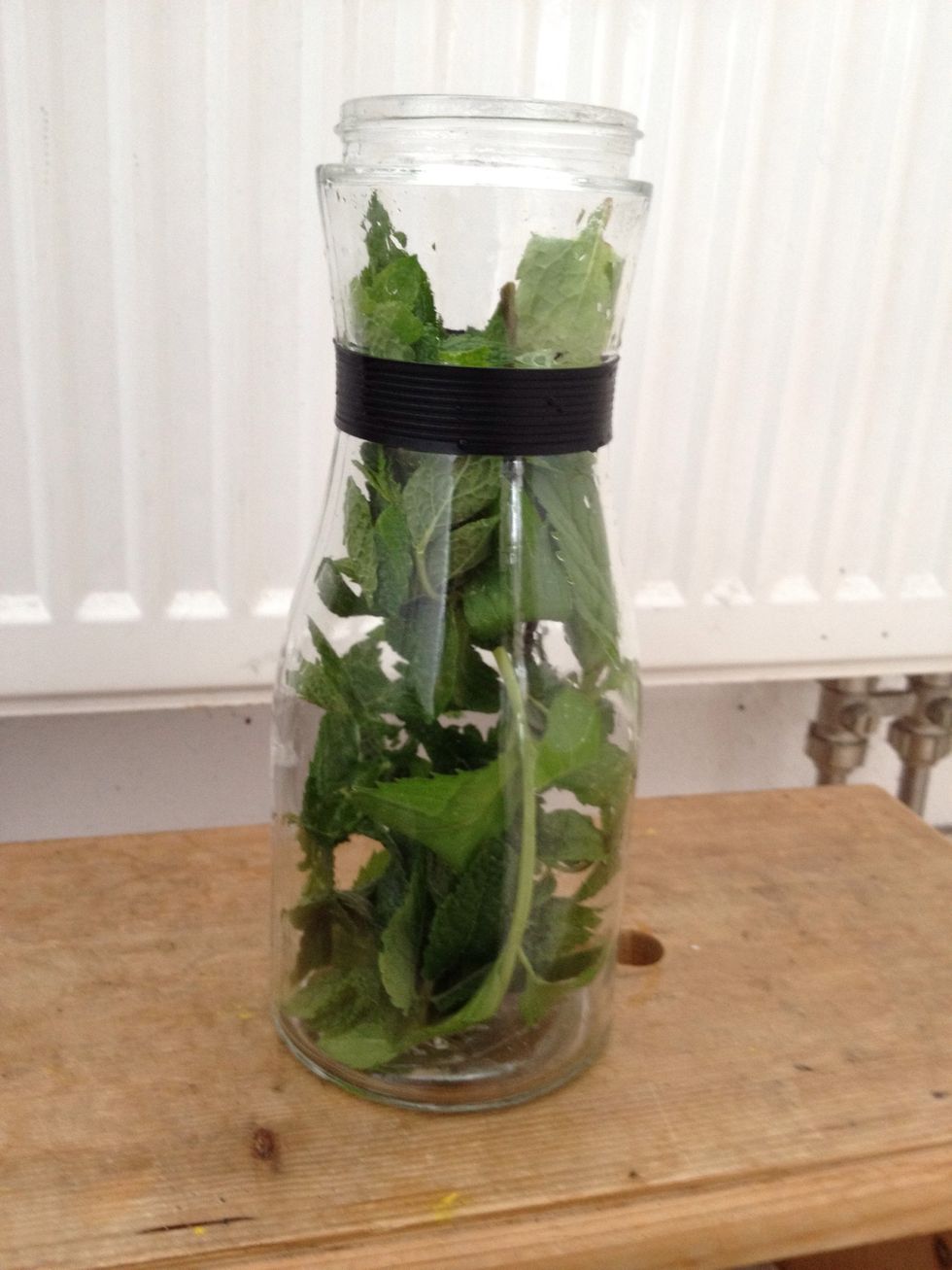 wash the leaves carefully and give them with boiling hot water in a glass jar