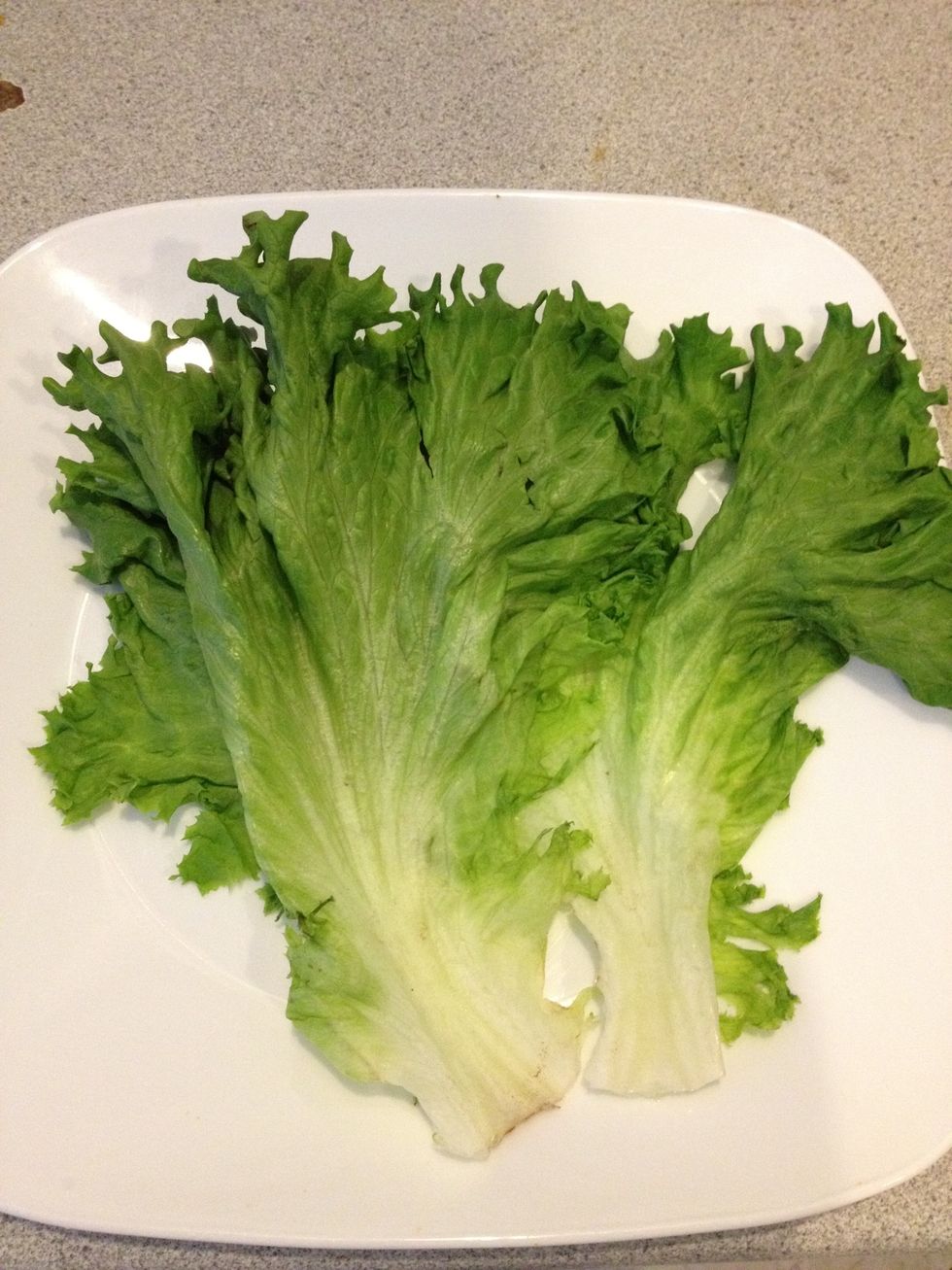 Wash the lettuce leaves and blot the moisture using a kitchen towel