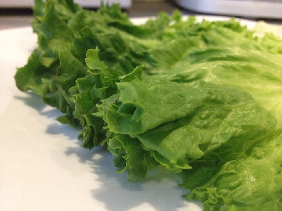 Wash the lettuce leaves and blotch any moisture using a kitchen towel