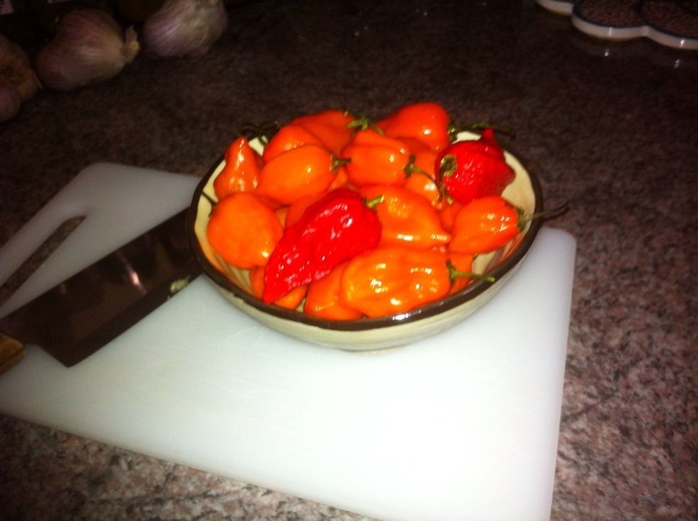 Wash your chillies and put them to one side. Go for whatever type of chillies you like, I have found this recipe is best with very hot ones. In this case I used 15 habaneros and 3 ghost chillies