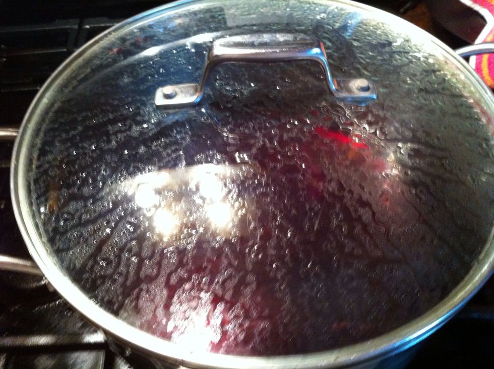 Watch it carefully for signs that it has come up to heat. See the steam on the lid?