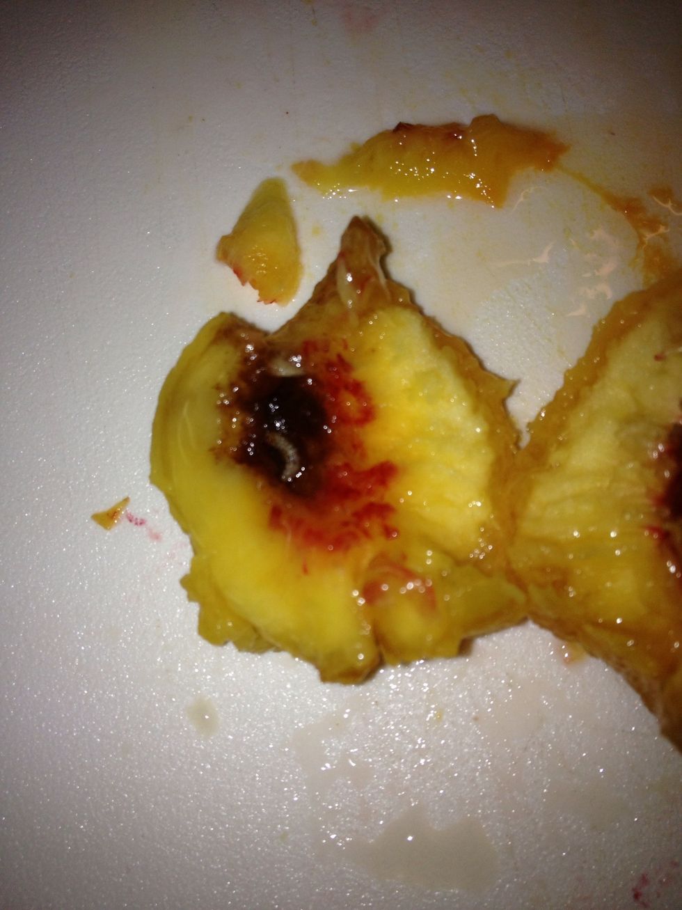 Watch out for larvae. Probably not a problem if you buy them from a store or even a Farmer's Market, but these came from a tree in my backyard. Just be aware if you pick your own...