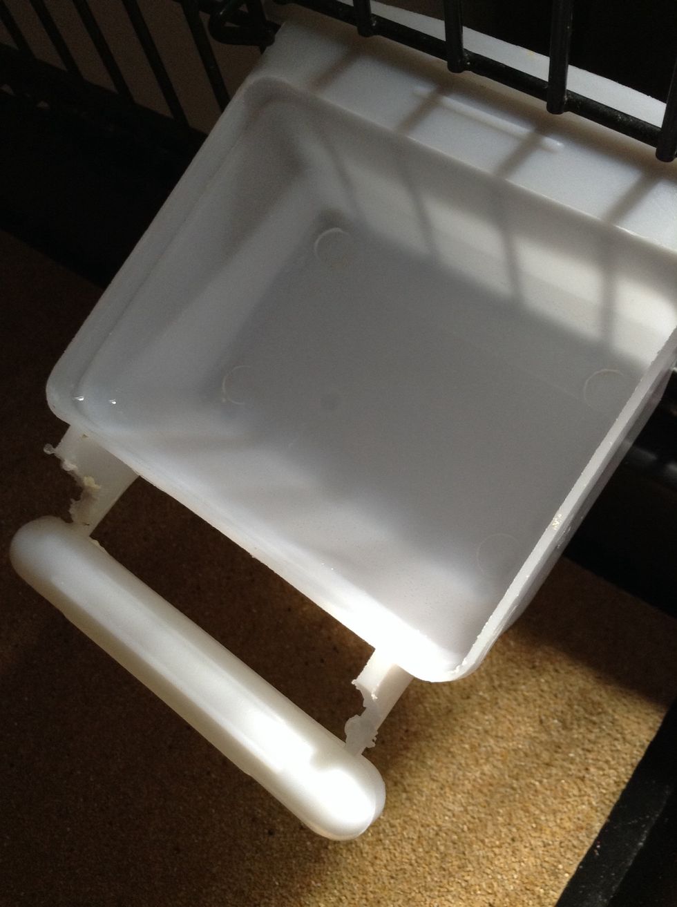 Water, of coarse \ud83d\udc33