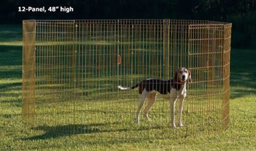 We are going to make a puppy pen using perimeter. Plus everything around it (house, yard, etc.)
