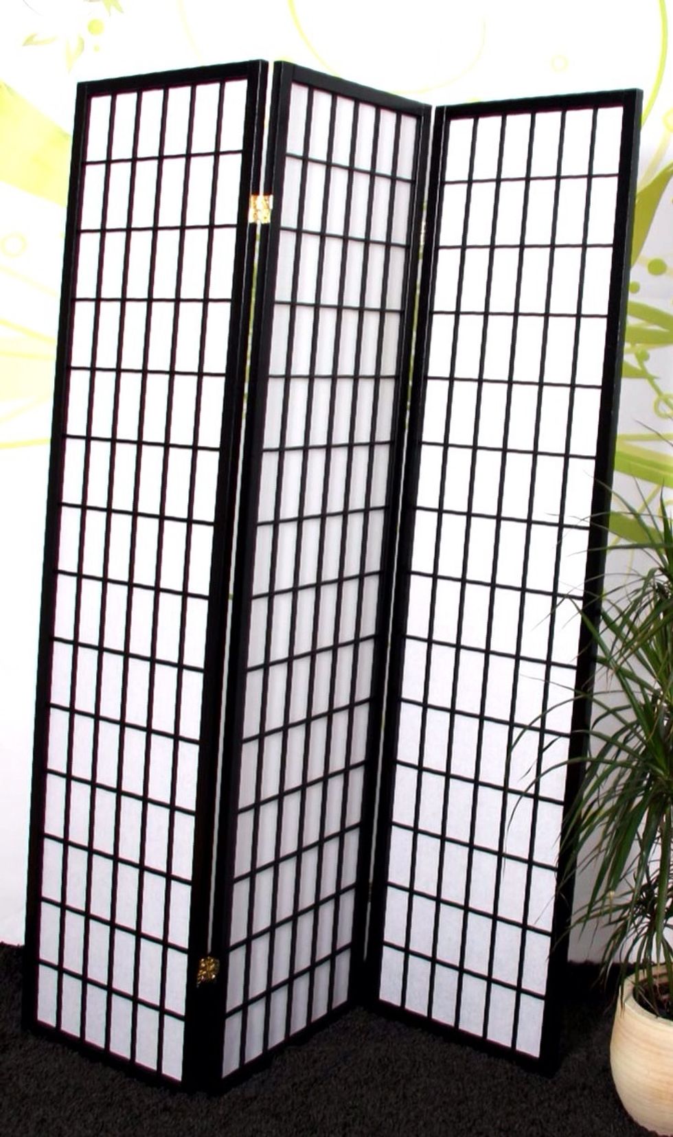 We bought a cheap room-divider off eBay. You might also have a look on Craigslist or garage sales.