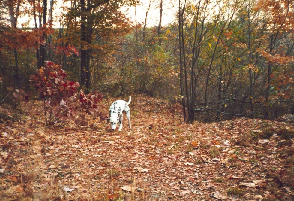 we chatted about 15 minutes, and I turned around ...