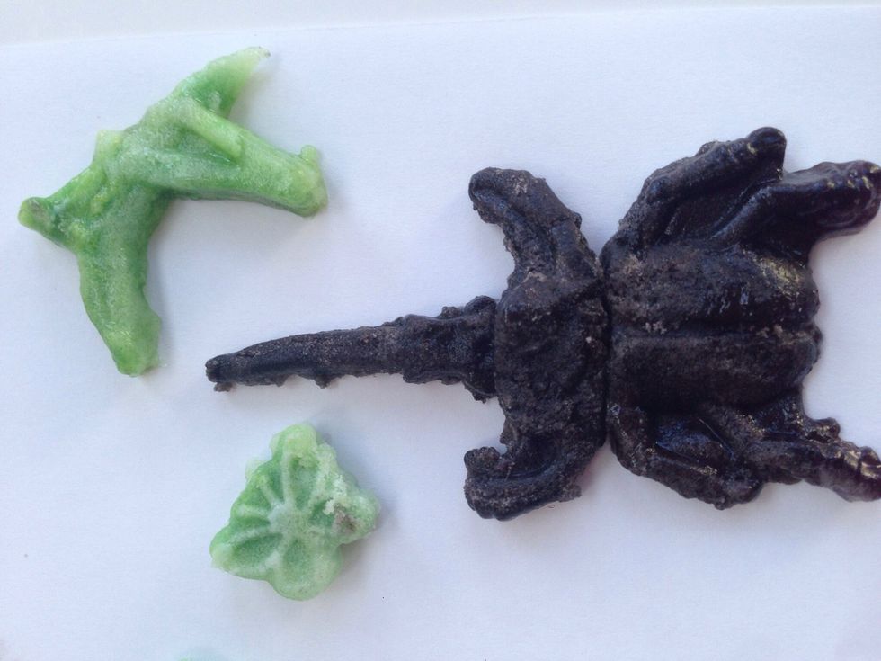 We have a beetle and some butterflies