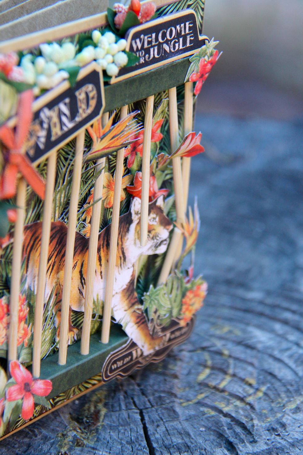 We have finished the album! Next photos show each page.