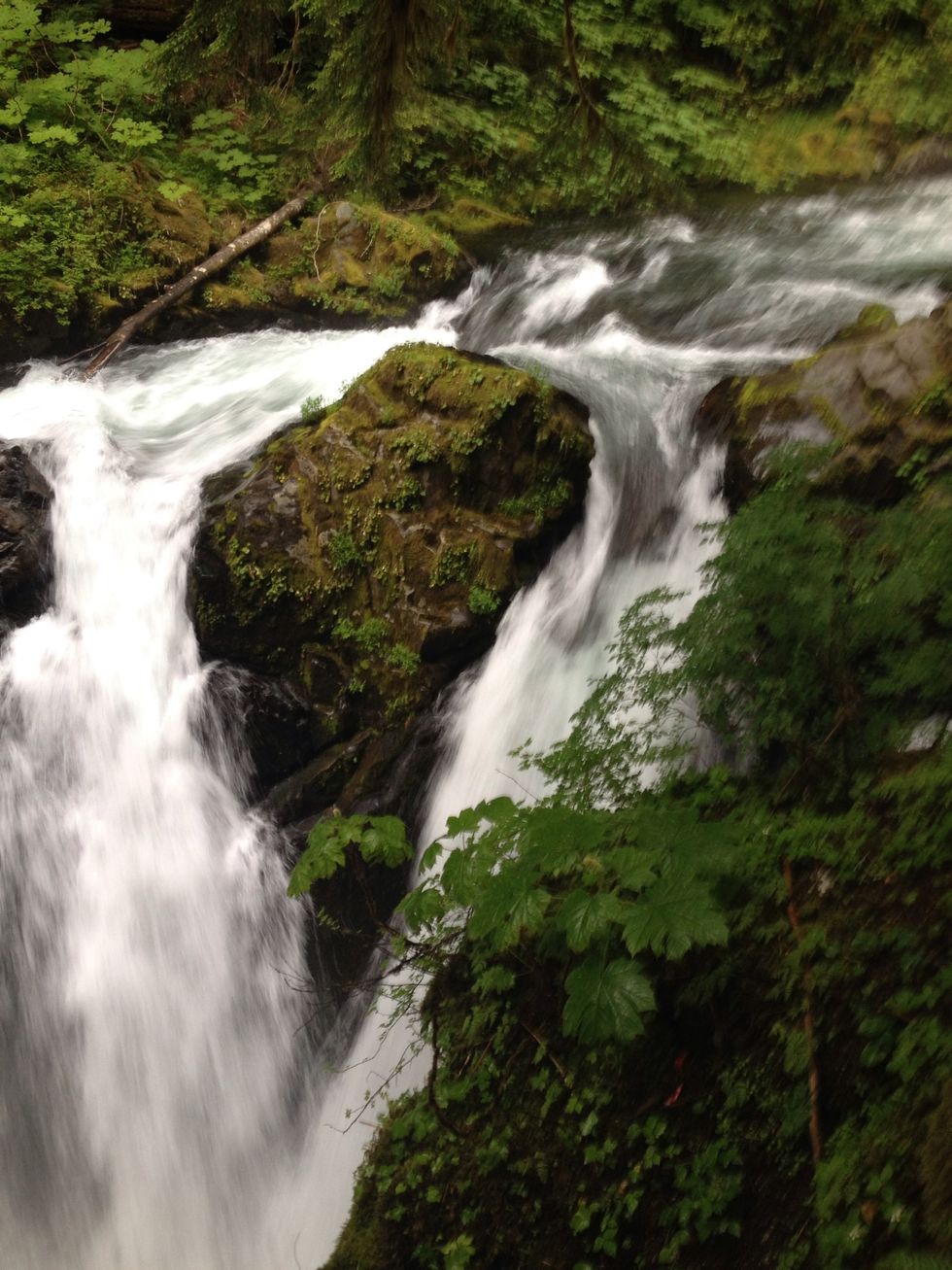 We hiked to the beautiful Sol Duc falls located right by the resort.