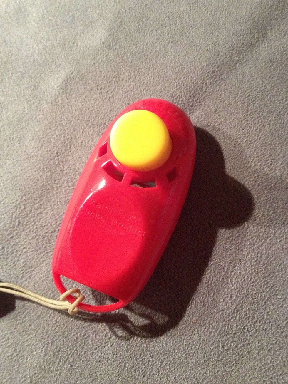 We'll be using one of these. A clicker is a simple device that makes a click sound when you press the button. We use this click instead of saying "good boy!"