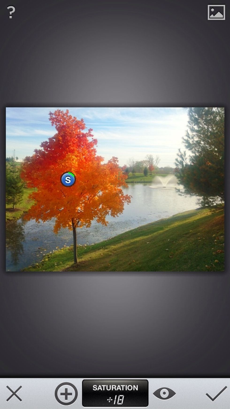 We'll turn the saturation up a little to bring out the orange of the leaves.