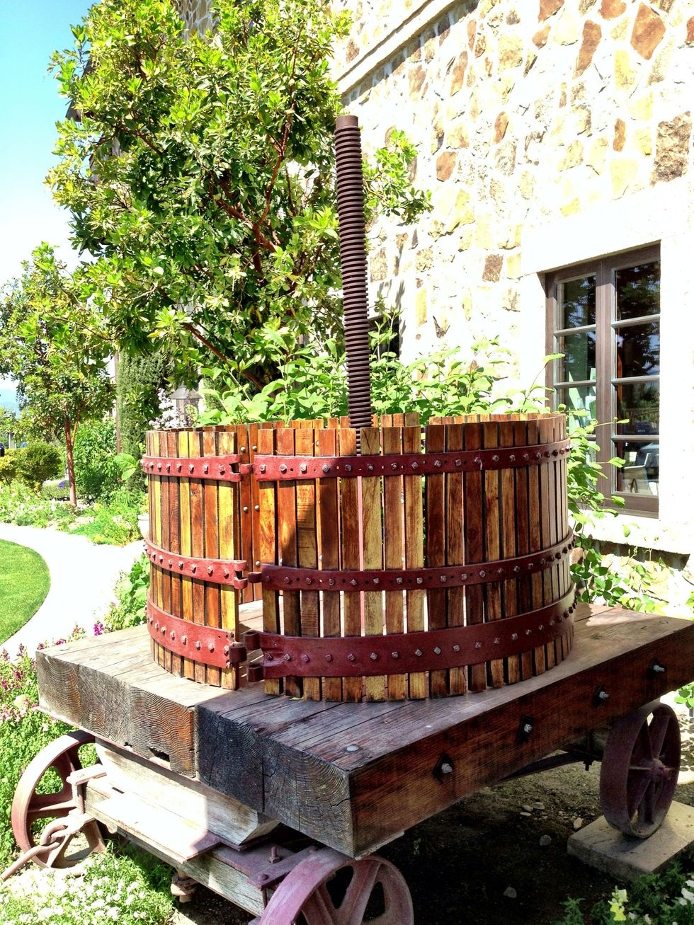 We move down the road to the Jacuzzi Family Vineyard where seasonal picnic fare is paired with famed Jacuzzi wines. We're greeted at the entrance by old school wine presses.