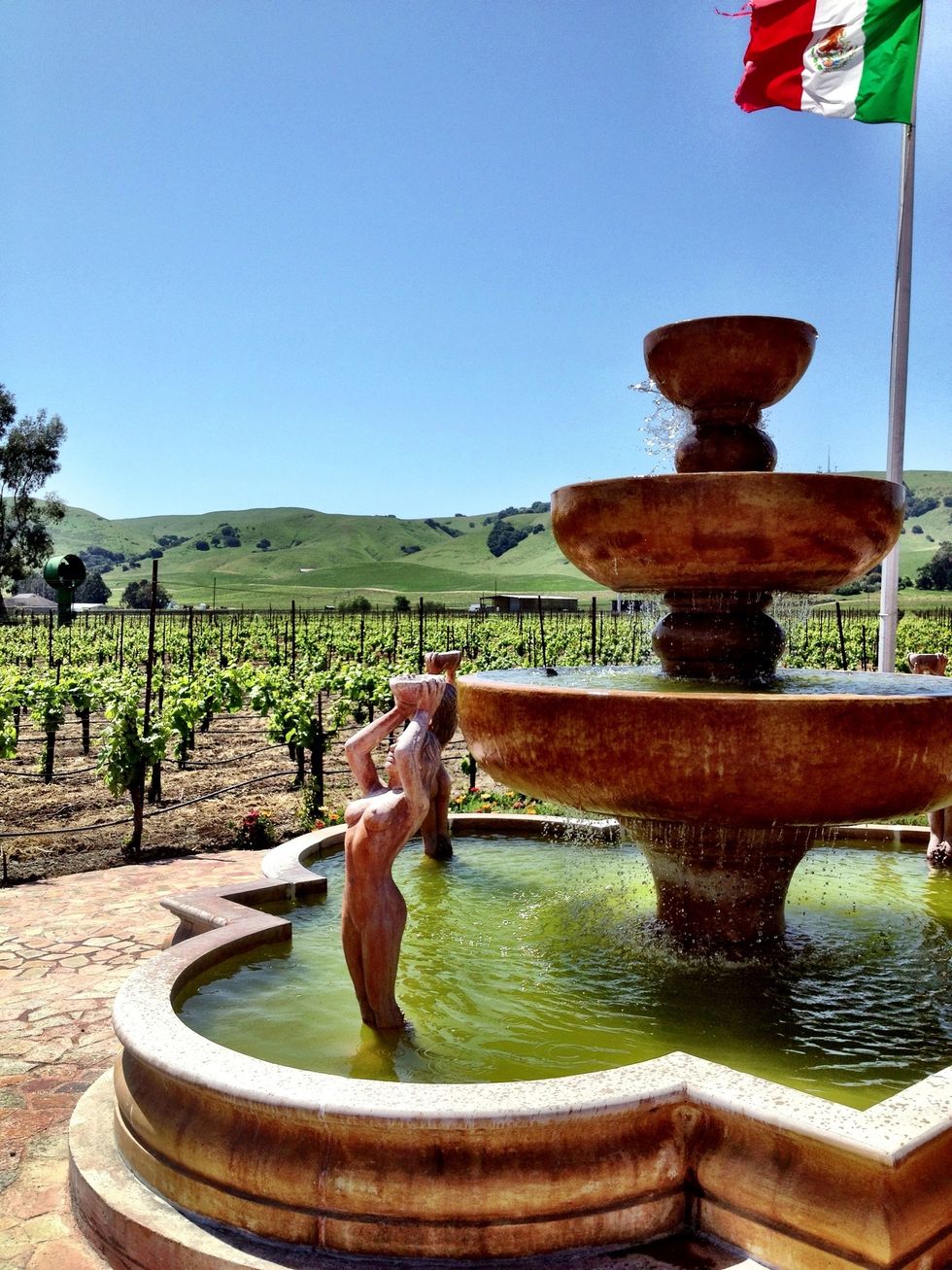 We're surrounded by spectacular vineyard views!