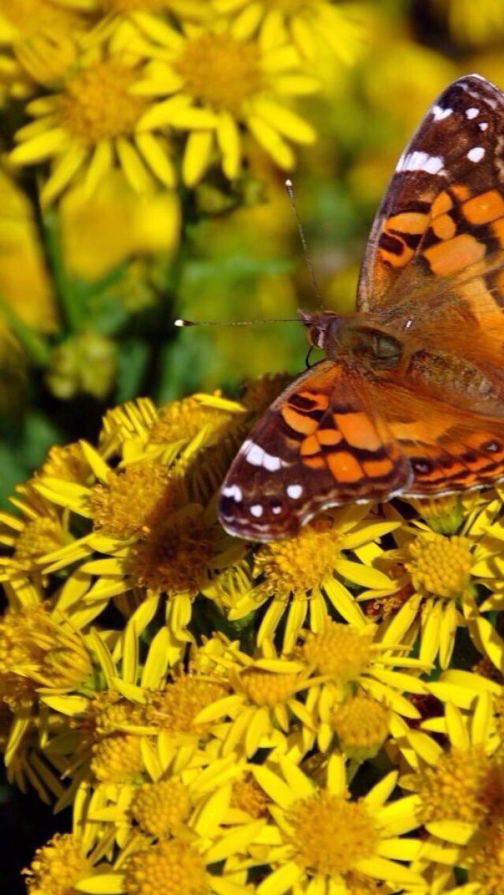 Wear colours that make you feel alive instead of black or white.