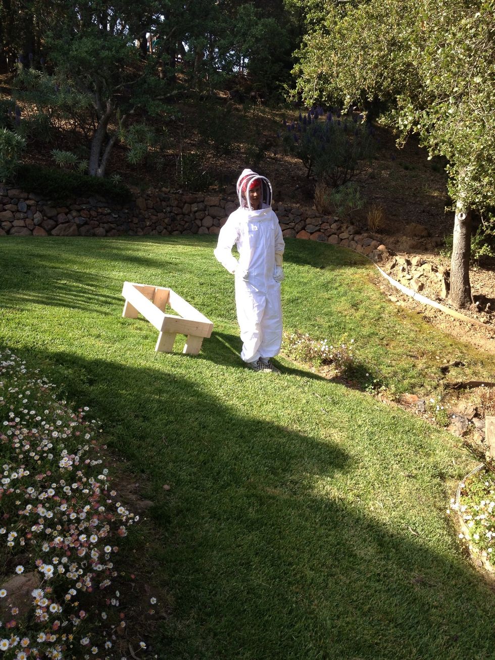 Wear your bee suit!!