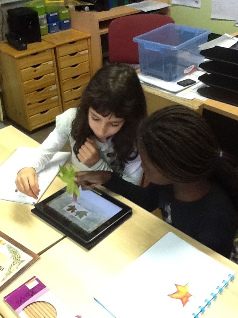 Welke van de twee is het?