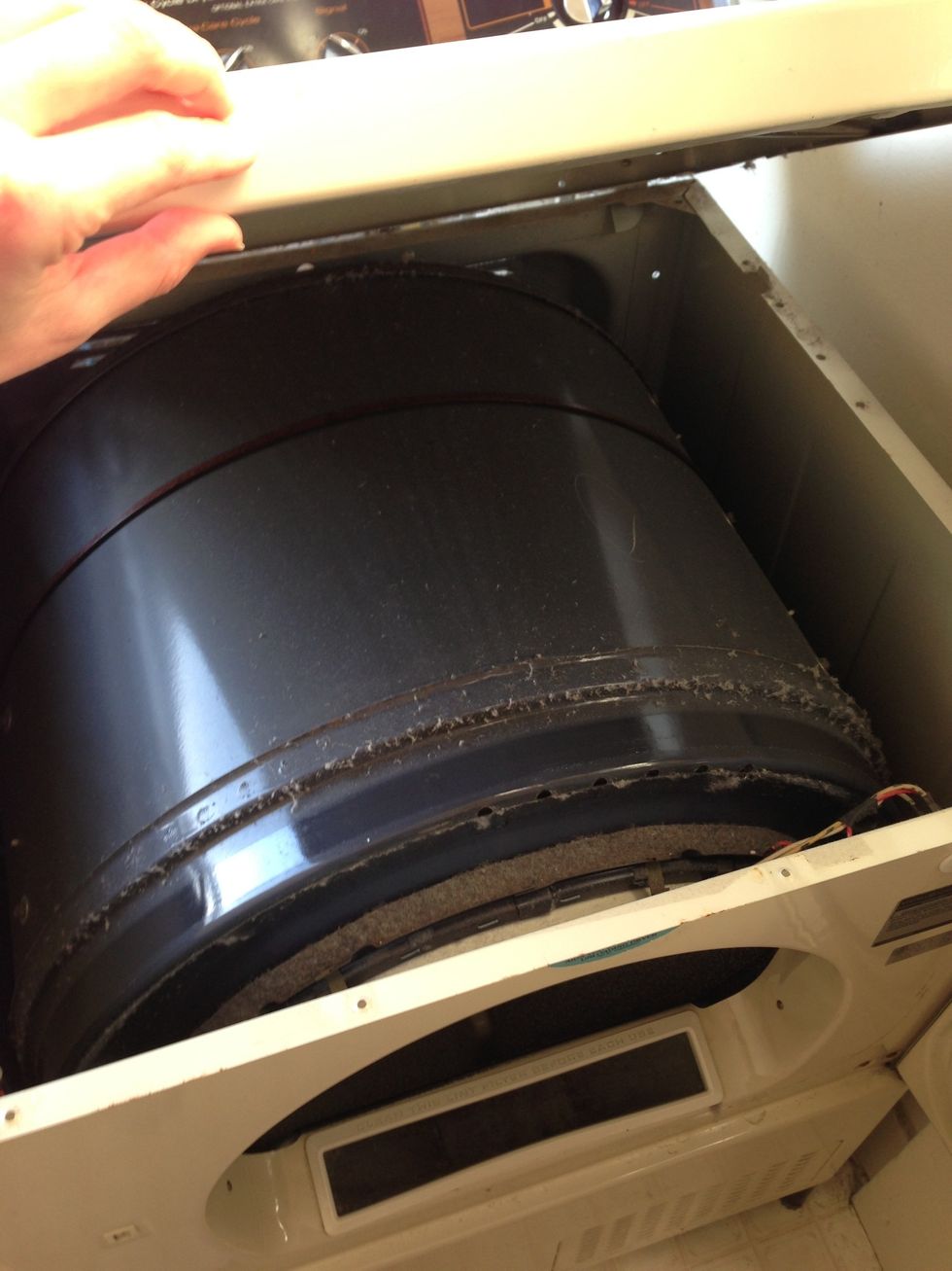 Well folks, that's what the inside of a dryer looks like. I kept the lid attached at the back but propped it open so I could access the drum.
