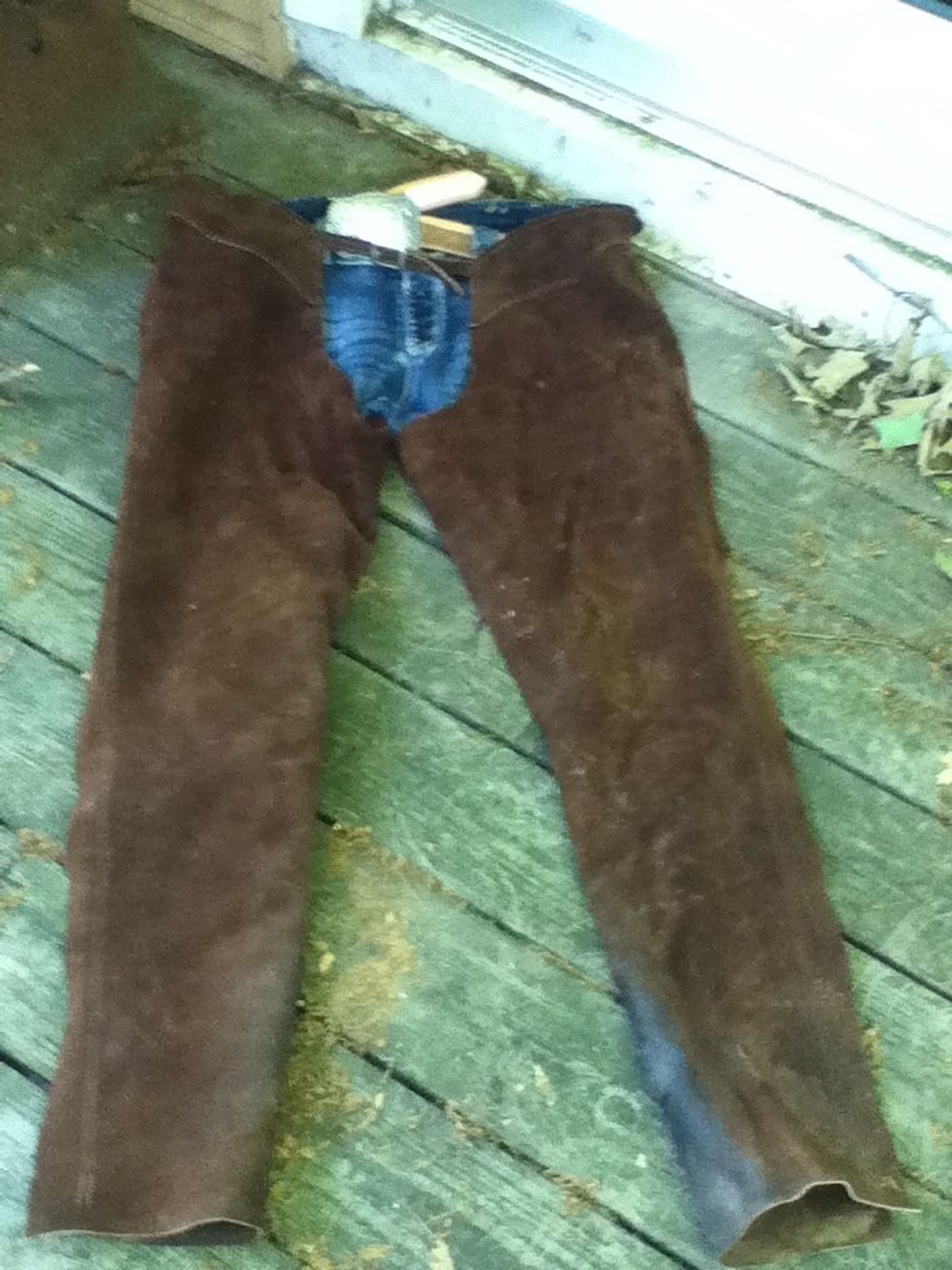 Western: chaps, usually black or brown.. They have pink ones, but don't wear those to a show!  Jeans with fancy belt and buckle. Chaps: 50-300$