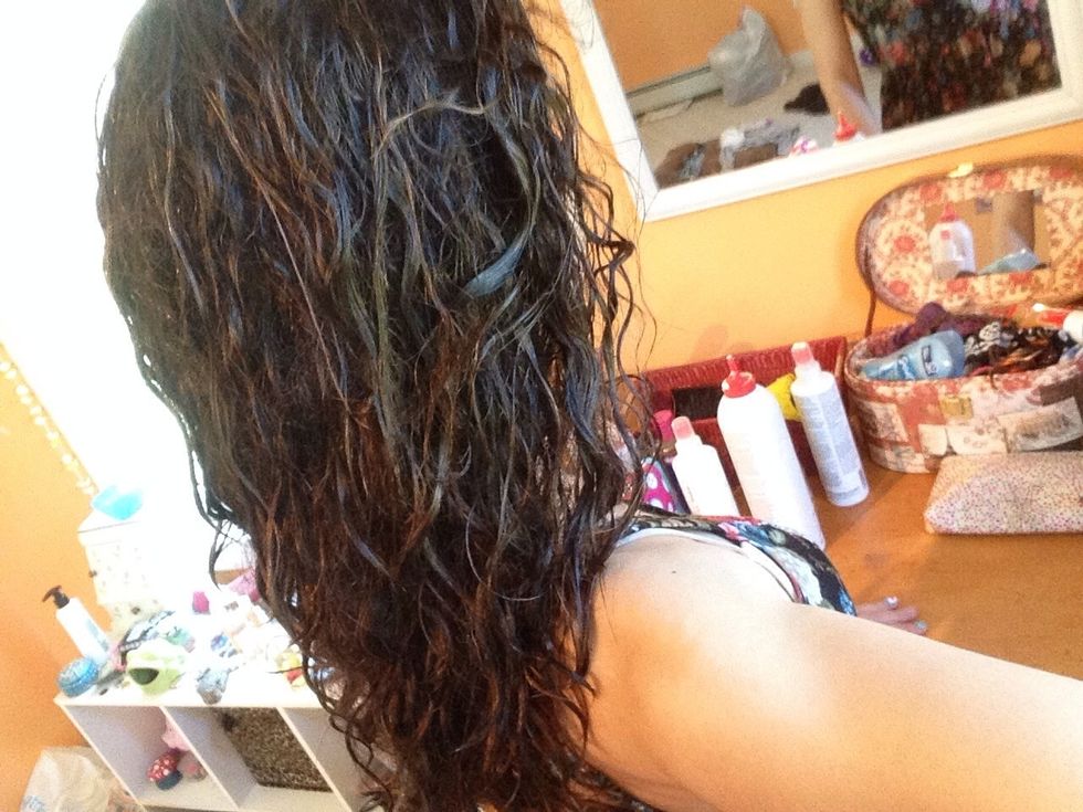 Wet your hair thoroughly. This can be done after taking a shower or sticking your head in the tub or sink. Squeeze with towel to absorb excess water. DO NOT RUB!