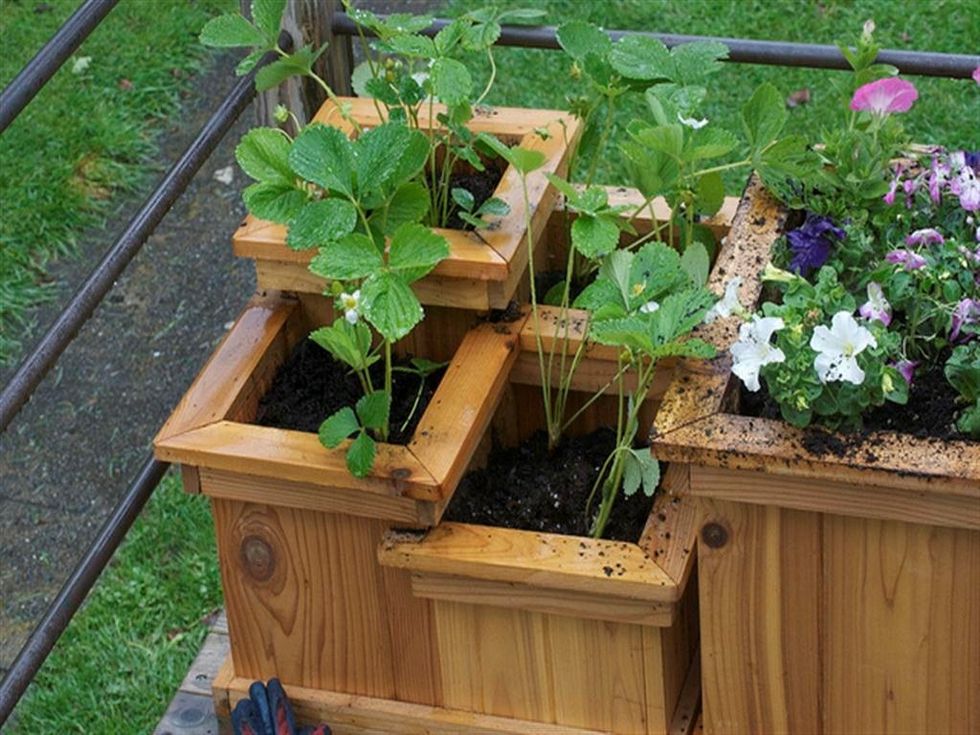 What about some ornamental flowers including flower of paradise or orchids in equally ornamental pots? The honey bees would never miss them. The smell will reach the neighborhood.