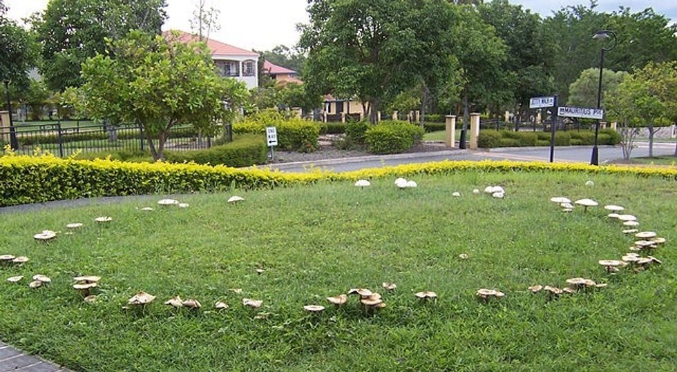 WHAT IS A FAIRY RING? A fairy ring, also known as fairy circle, elf ring or pixie ring, is a naturally occurring ring or arc of mushrooms. Can a Crystal Fairy Ring be created during a lunar eclipse?