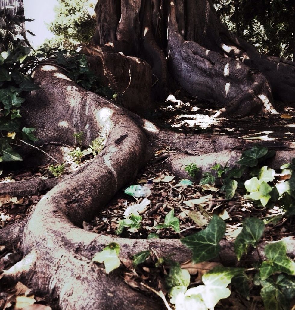 What is ROOTING? Well, imagine from the bottoms of your feet emerge ROOTS that go down, way down into the earth. These roots, will always hold you firm. They represent your connection to the ground.