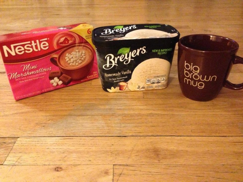 What you'll need: Hot cocoa mix, vanilla ice cream, a mug