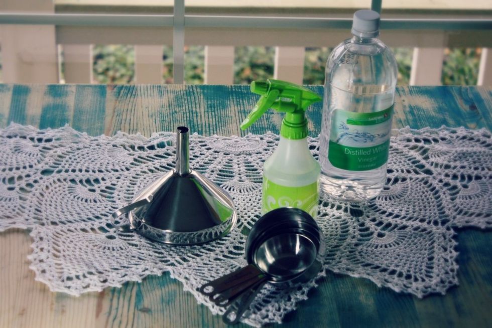 What you need: Water, vinegar, spray bottle, and a funnel or extremely steady hand :)