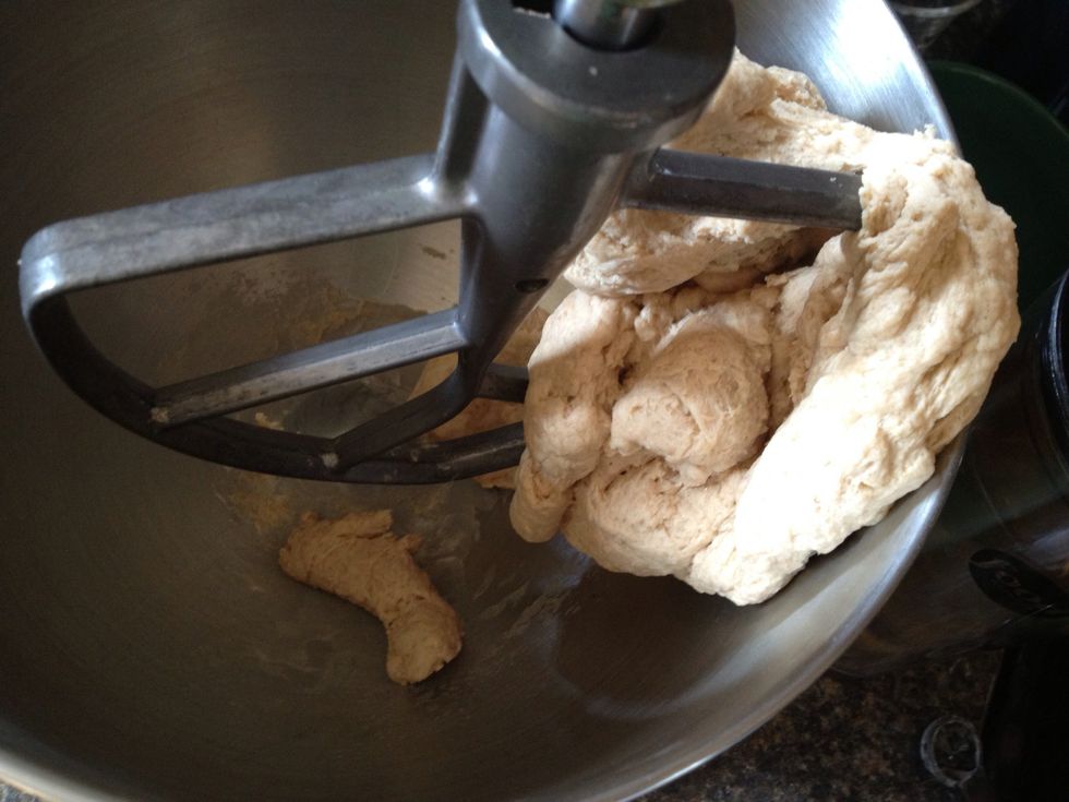 When all dough is a ball, turn off mixer and remove dough.