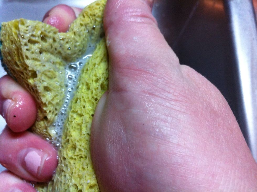 When all has been scrubbed..wring out the sponge under water till water runs clear.