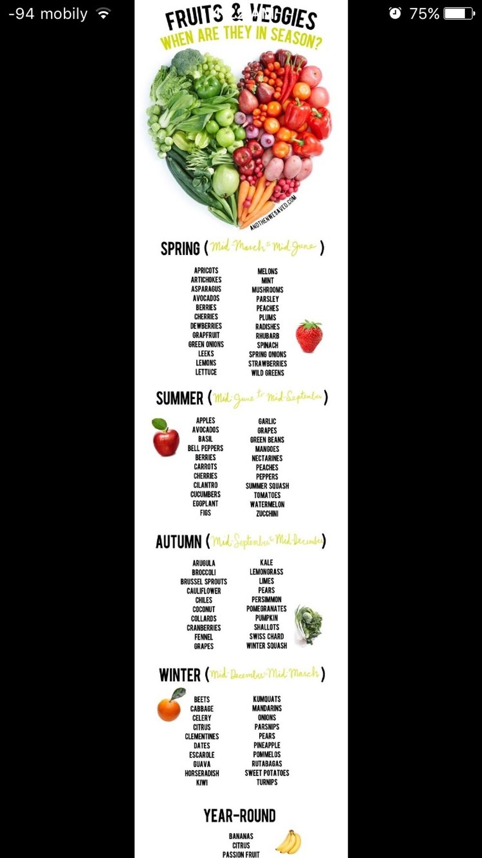 WHEN ARE THEY IN SEASON?