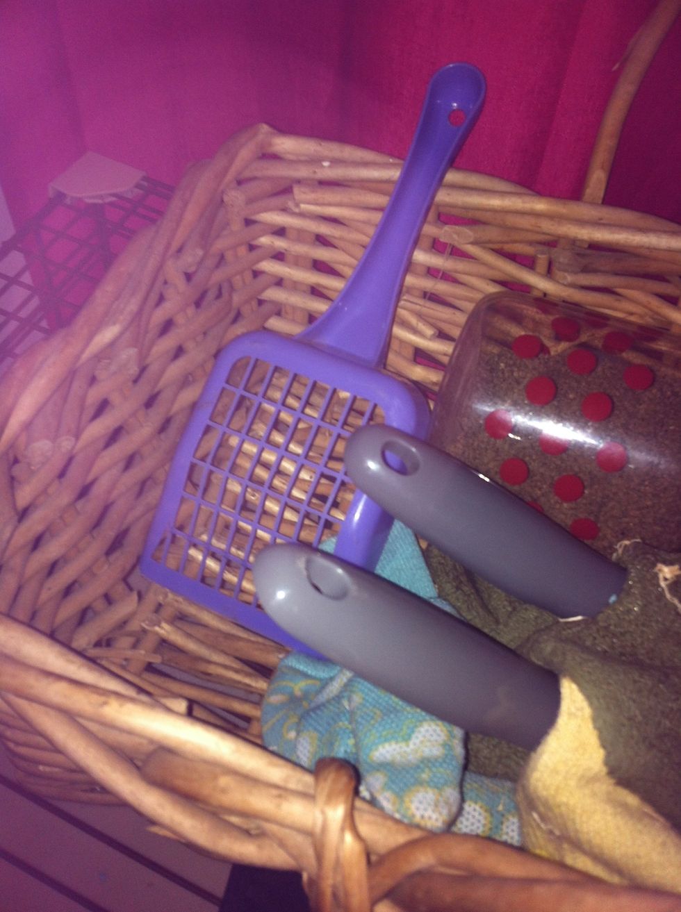 When cleaning the cage: wear gloves to protect your hands from the quills and feces. Take the hedgehog and put it in a secure place while putting new bedding or cleaning cage. Tip: be gentle!\ud83d\ude04