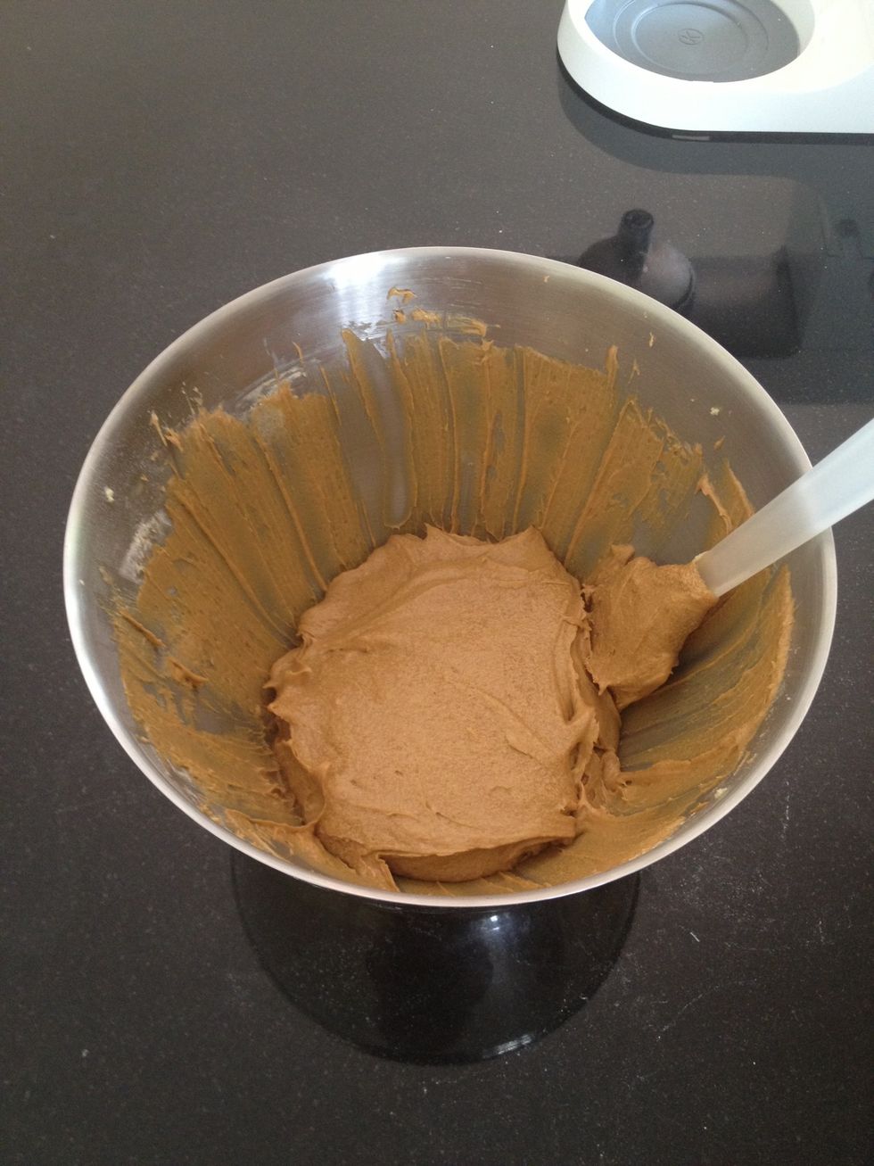 When done your mixture should resemble something like this.