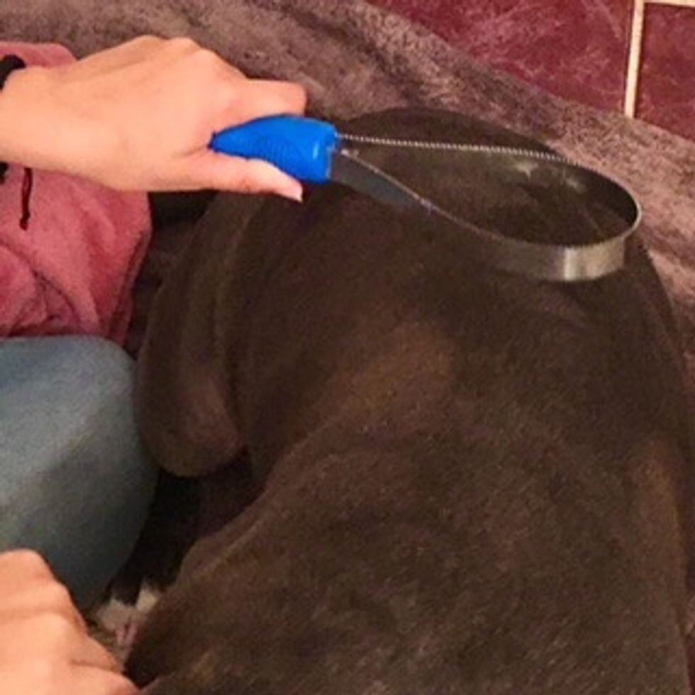 When finished drying, comb out any knots.