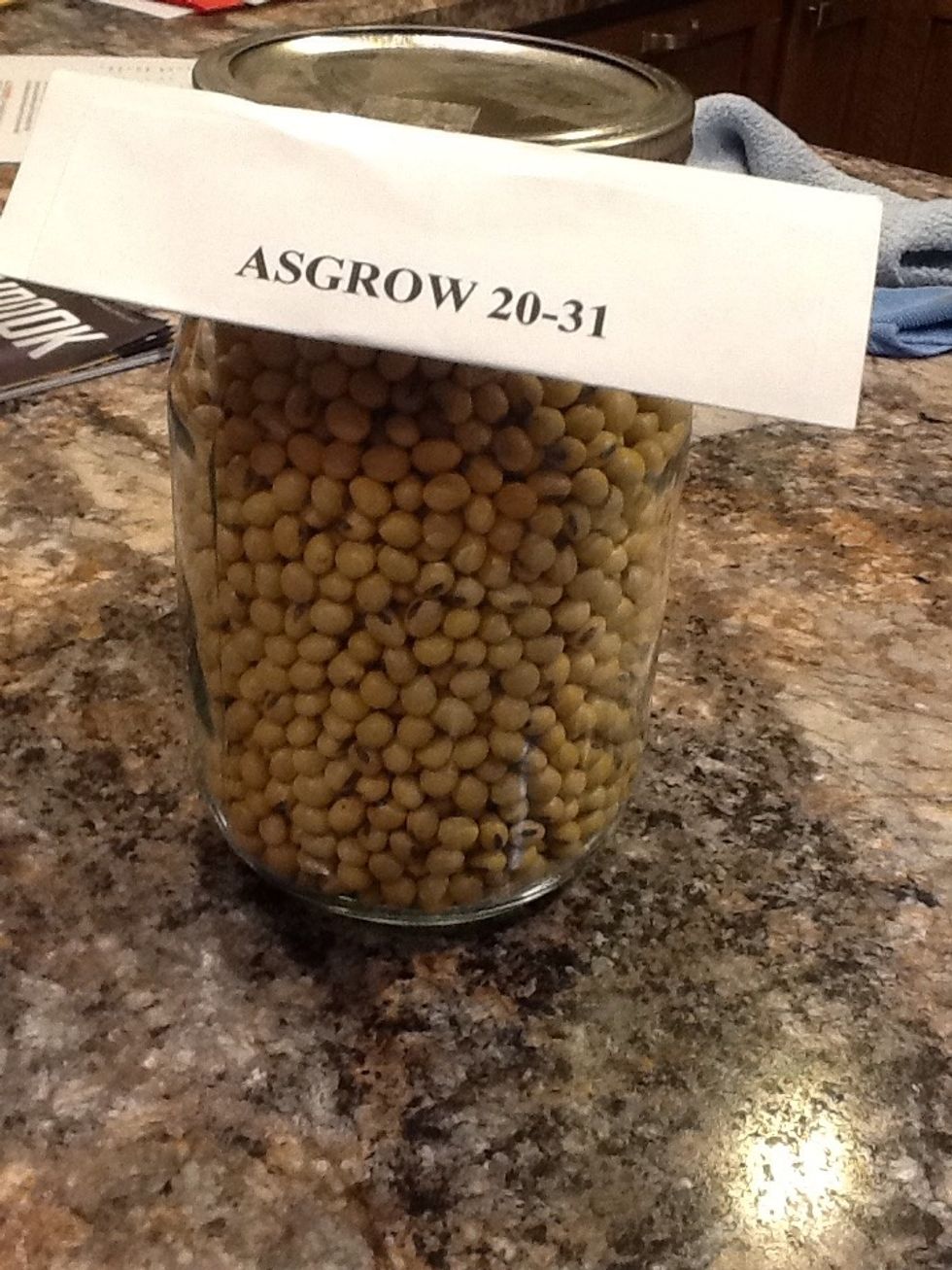 When finished label the sample with the soybean variety.