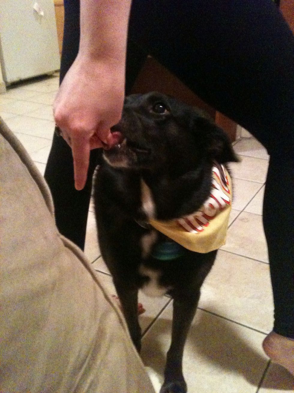 When he is all the way on the other side of my leg, I give him a treat.