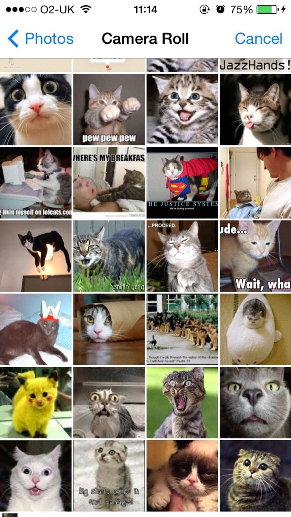 When inside the album, tap on the photos you'd like to import. In the bottom-left of the display you'll see a counter that will tell you how many photos/videos you've selected. Tap 'Import' when done.