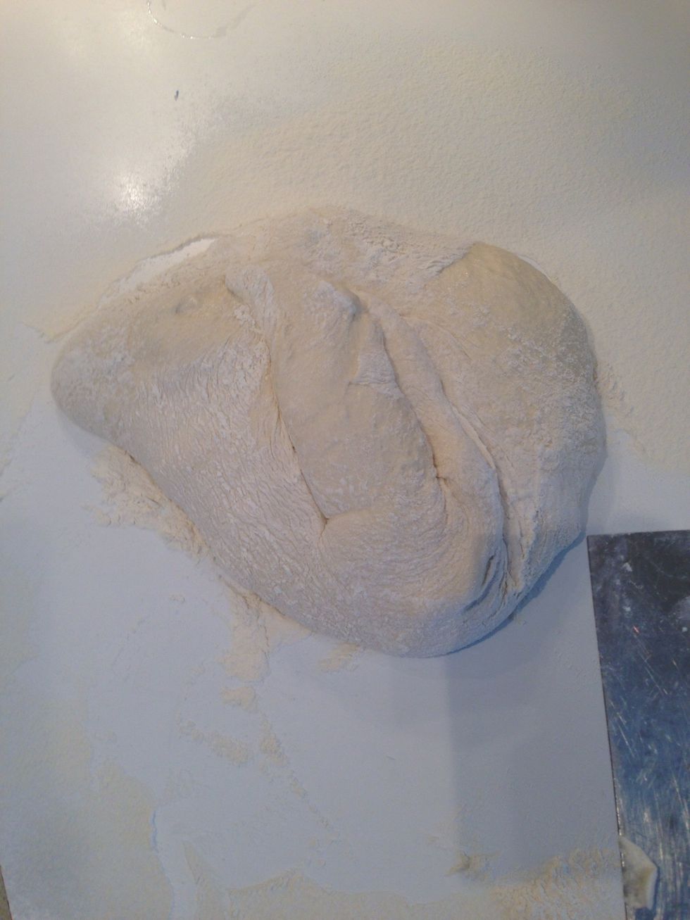 When it looks like this, you are ready to put it into a