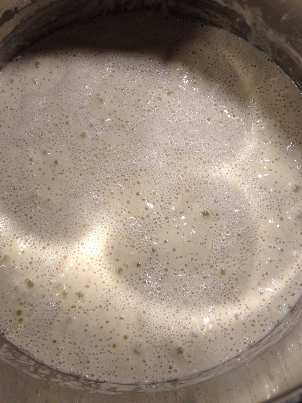 When it's bubbly with a thin layer of foam, your chief is ready. Use your kitchen machine to mix 800 g of flour and 400 g of water with the chief for 10 minutes. Add 15 g of salt when 2 min remain.