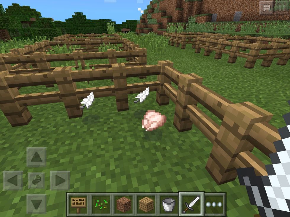 When killed, they will drop raw chicken and feathers. It's best to cook the food for more health recovery. The feathers can be used to craft arrows!