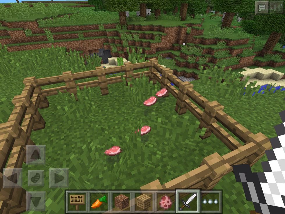 When killed, they will drop raw porkchops.