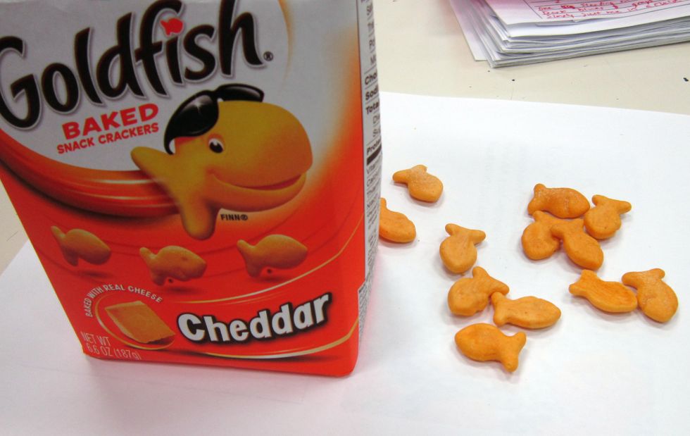 When learning to draw, students tend to generalize shapes and contours until building observational skills. A good photo reference can be helpful so your fish don't end up looking like these guys!