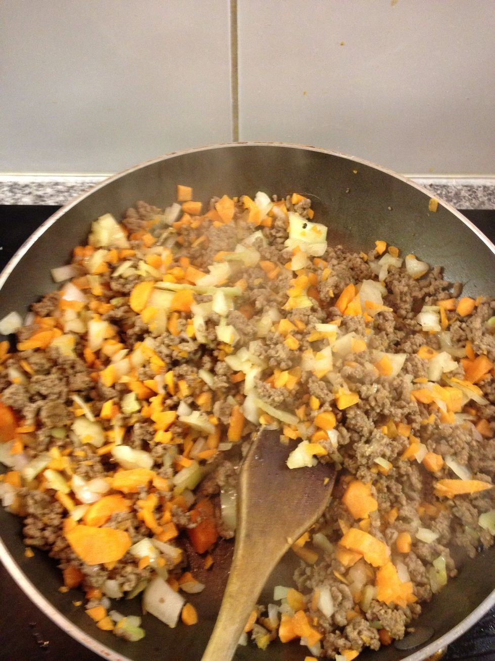 When meat has fully browned, throw in your onion and carrots.