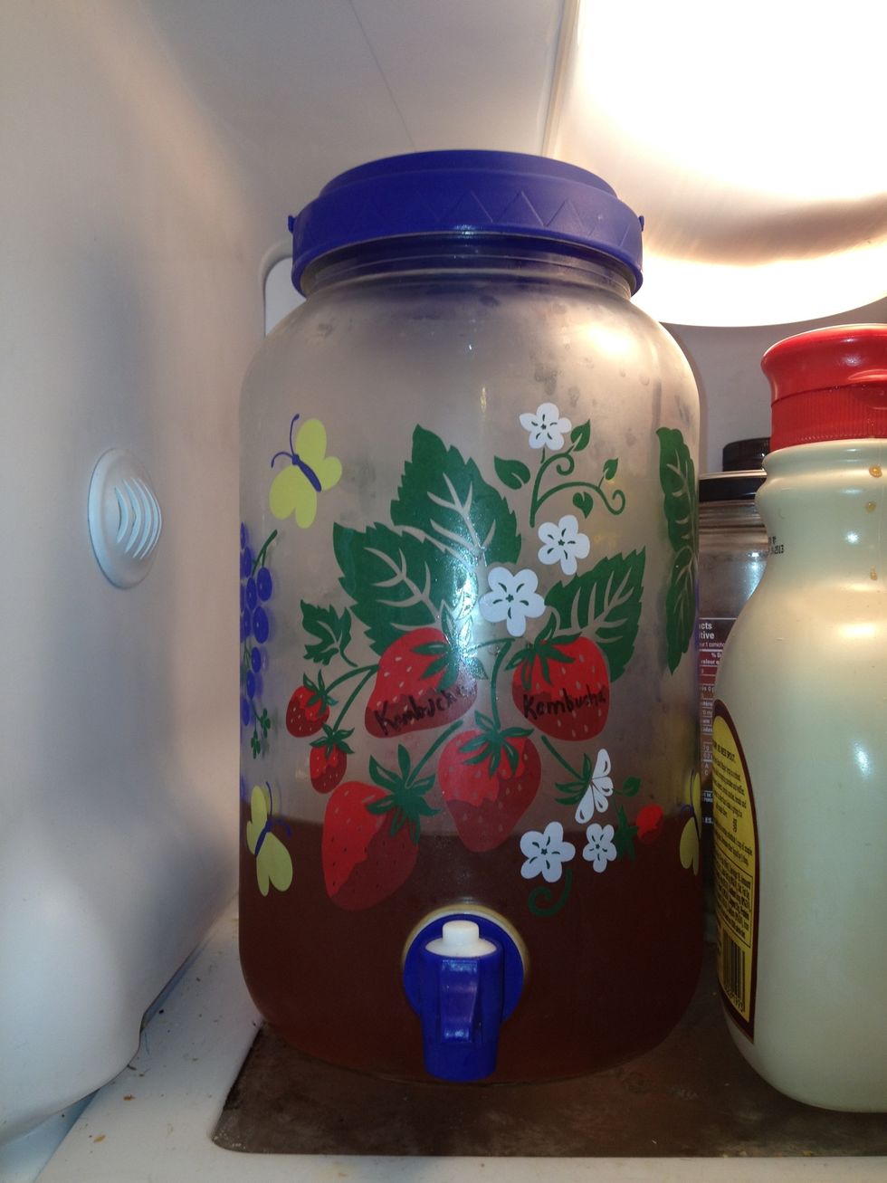 When ready it should taste and smell like a mild sweet vinegar. It should be lightly carbonated. I pour mine into a sun tea jar with a spigot and keep it in the fridge. Then I start the next batch!