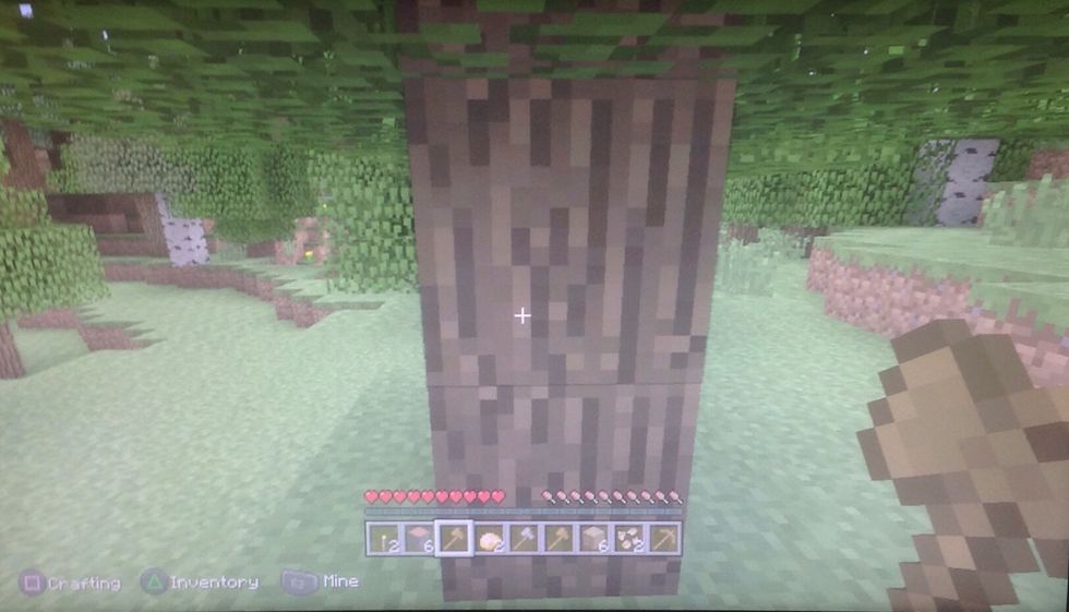 When ready take the axes and start chopping/ breaking any type of tree block. It depends on what kind of wooden log/plank you want your house to have.